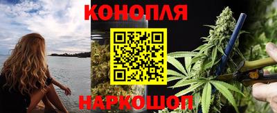 гашик Гусев