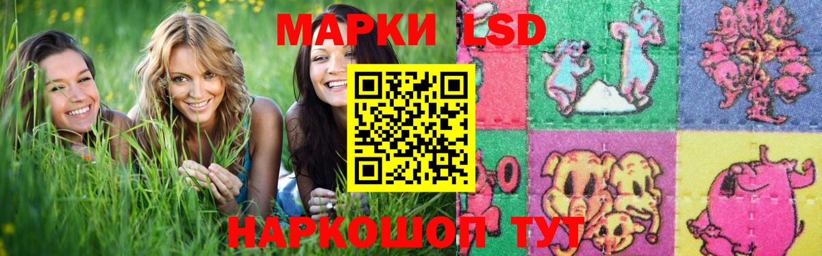 Лсд 25 экстази кислота  Вход с VPN  LSD-25 экстази ecstasy  Курчалой 