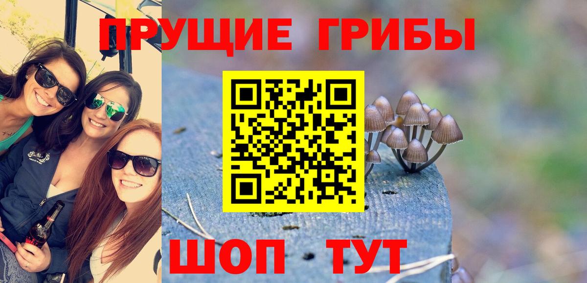 Галлюциногенные грибы MAGIC MUSHROOMS Курчалой