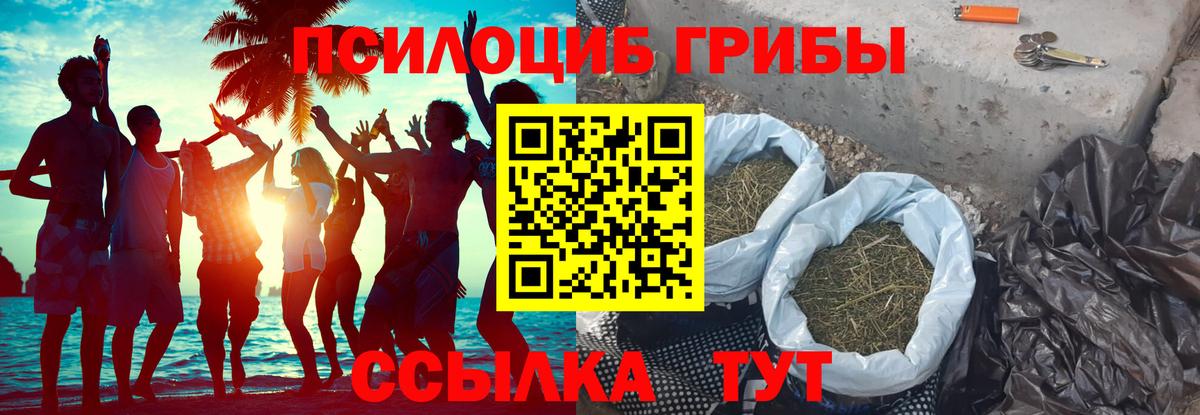Меф МЯУ МЯУ   А ПВП СК кристаллы  Марихуана  Курчалой  Вход с VPN  Гашиш  Кокаин 