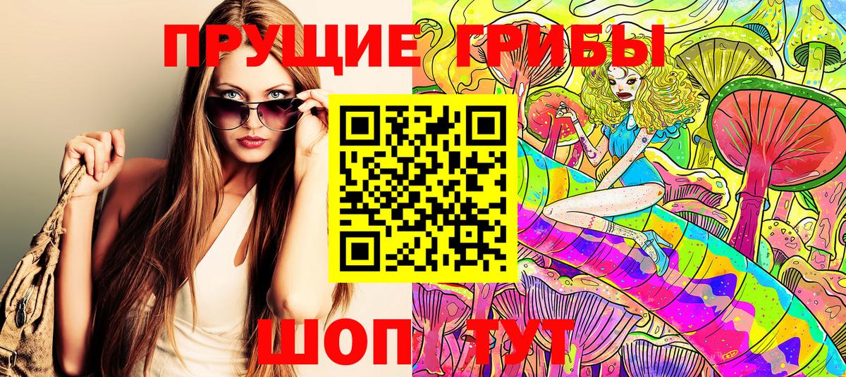Псилоцибиновые грибы Psilocybe  Вход с VPN  Галлюциногенные грибы ЛСД  Курчалой 